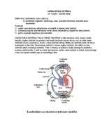 Konspekts 'Limfātiskā sistēma', 1.