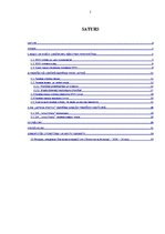 Referāts 'Franšīzes būtības un franšīzes uzņēmumu tirgus analīze', 2.