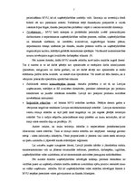 Referāts 'Franšīzes būtības un franšīzes uzņēmumu tirgus analīze', 7.