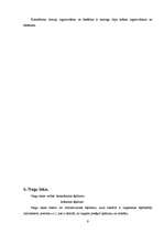 Referāts 'Dekoratīvā kosmētika un tās izgatavošana', 9.