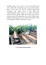 Referāts 'Dārzkopības nozares analīze Latvijā', 10.