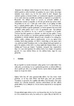 Eseja 'Izrāde "Turandota"', 2.