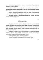 Referāts 'Cilvēka ikdienas notikumu ietekme uz miegu', 16.