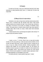 Referāts 'Cilvēka ikdienas notikumu ietekme uz miegu', 17.