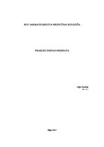 Prakses atskaite 'Prakses dienasgrāmata', 1.