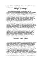 Referāts 'Pirmais pasaules karš', 3.