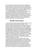 Referāts 'Pirmais pasaules karš', 4.