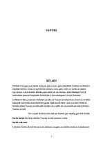 Paraugs 'Florbola attīstība Tukuma novadā', 2.