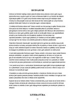 Paraugs 'Florbola attīstība Tukuma novadā', 23.