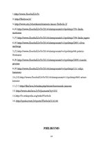 Paraugs 'Florbola attīstība Tukuma novadā', 24.