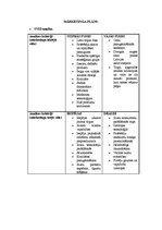 Paraugs 'Mārketinga plāns', 2.