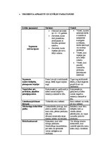 Paraugs 'Mārketinga plāns', 3.