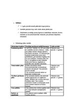 Paraugs 'Mārketinga plāns', 4.