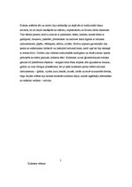 Referāts 'Kubisms', 5.