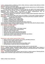 Konspekts 'Audits un revīzija', 1.