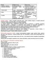 Konspekts 'Audits un revīzija', 2.