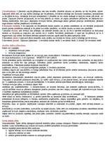 Konspekts 'Audits un revīzija', 6.