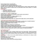 Konspekts 'Audits un revīzija', 11.