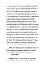 Referāts 'Mūsdienu Latvijas tekstilmāksla', 7.