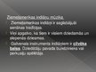 Prezentācija 'Tradicionālā mūzika ārpus Eiropas', 35.
