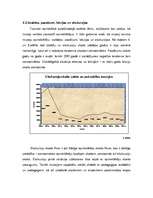 Referāts 'Muzeju darba pilnveidošana ekonomiskai, rentablai un efektīvai muzeju darbībai', 17.