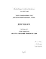 Referāts 'Grafiskā dizaina projekts', 1.