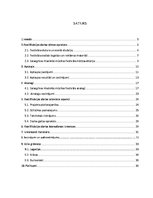 Referāts 'Grafiskā dizaina projekts', 4.