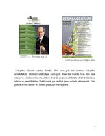 Referāts 'Grafiskā dizaina projekts', 8.