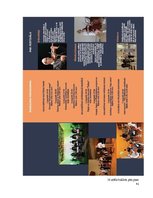 Referāts 'Grafiskā dizaina projekts', 41.