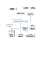 Prakses atskaite 'Prakse Dzimtsarakstu nodaļā', 18.