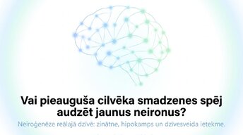 Prezentācija 'Vai pieauguša cilvēka smadzenes spēj audzēt jaunus neironus?', 1.
