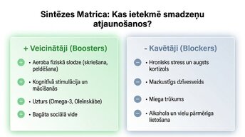 Prezentācija 'Vai pieauguša cilvēka smadzenes spēj audzēt jaunus neironus?', 8.