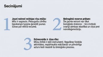 Prezentācija 'Vai pieauguša cilvēka smadzenes spēj audzēt jaunus neironus?', 13.