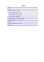 Referāts 'Lauku pašvaldību attīstība 20.gadsimta 20.-30-tajos gados', 2.