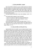 Referāts 'Lauku pašvaldību attīstība 20.gadsimta 20.-30-tajos gados', 4.