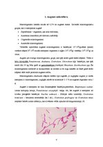 Referāts 'Mikrobu izplatība dabā', 4.