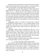 Prakses atskaite 'Prakses pārskats SIA "Sporta halle"', 33.