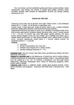 Konspekts 'Kuģu tvaika katlu klasifikācija un konstrukcija', 2.