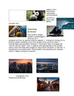 Konspekts 'Ķīnas-Japānas kultūras reģions', 4.