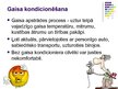 Prezentācija 'Gaisa kondicionieri viesnīcās', 2.