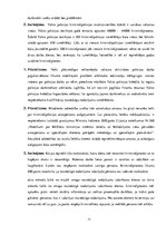 Prakses atskaite 'Kriminālpolicija', 11.