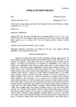 Prakses atskaite 'Kriminālpolicija', 21.