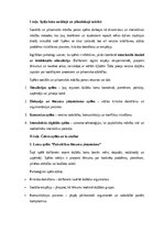 Eseja 'Sociālās un pilsoniskās mācību jomas spēles: izglītības un attīstības nozīme', 1.