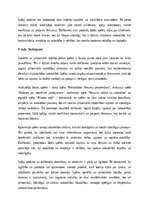 Eseja 'Sociālās un pilsoniskās mācību jomas spēles: izglītības un attīstības nozīme', 5.