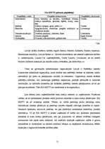 Referāts 'Iekšējās un ārējās vides analīze SIA "MISTY"', 21.