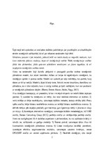 Eseja 'Eseja par jaunākajām pētījuma tēmām stratēģiskā vadībzinībā', 2.