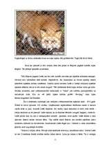 Referāts 'Lapsu audzēšana Latvijā', 11.