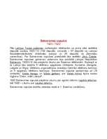 Konspekts 'Latvijas valsts pasludināšana', 6.