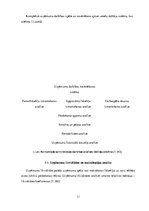 Diplomdarbs 'Uzņēmuma finansiālā stāvokļa analīze un novērtējums', 11.