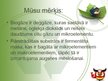 Prezentācija 'SIA "Baltic Green Gas" - biogāzes uzņēmums', 14.